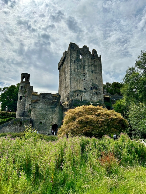Historic stone fortress surrounded by trees.