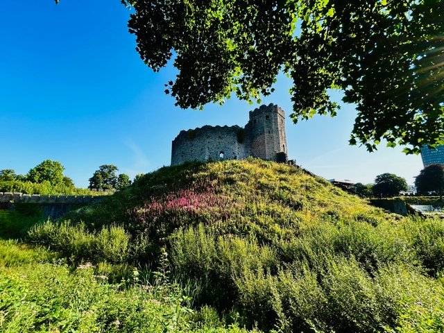 Ruined castle on a grassy mound under clear blue sky.