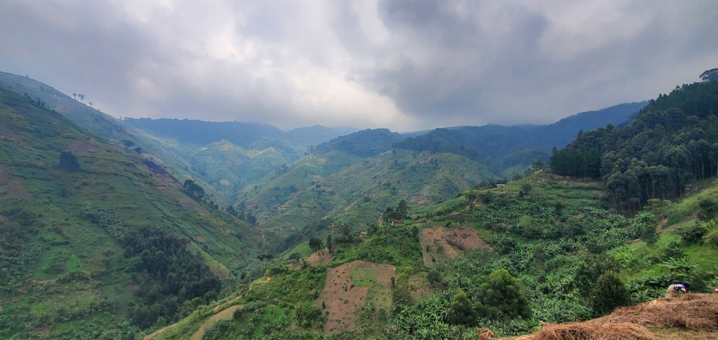Panoramic view of lush green hills and clouds.