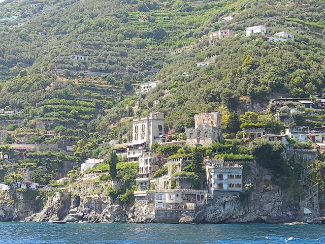 Hillside with houses and greenery.