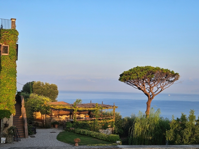 Sea view with a tree and buildings covered in ivy.