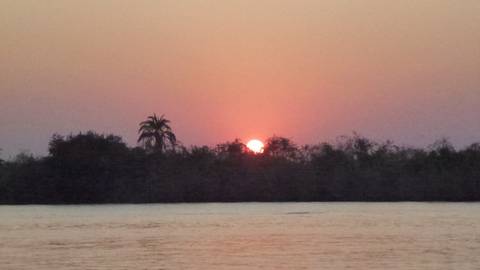 Sunset over a river with tree silhouettes.