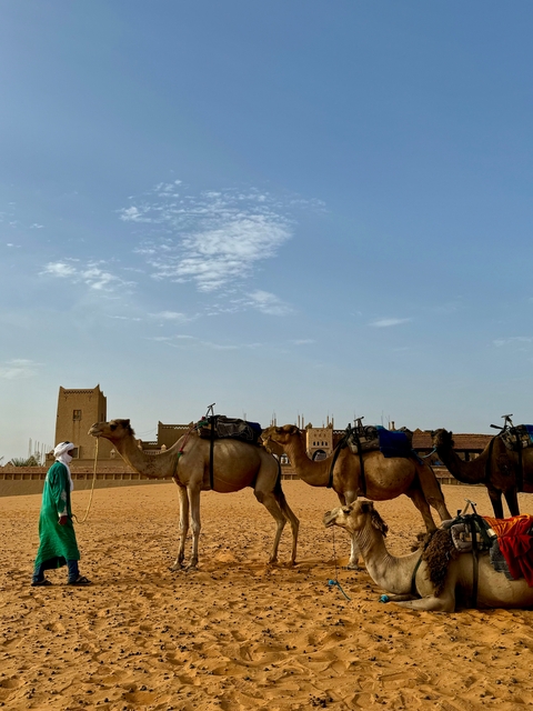 Camels and their handler in a Moroccan desert village.
