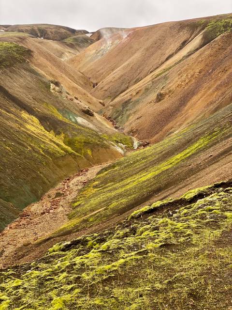 Colorful landscape with moss and rocky terrain.