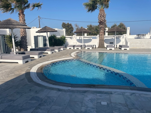 Hotel pool area with lounge chairs and palm trees.