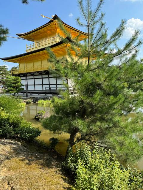 Golden Pavilion surrounded by greenery and a reflective pond.