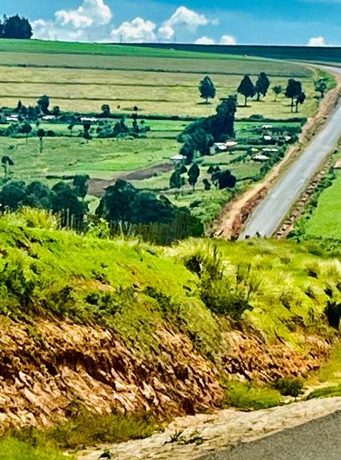View of landscape with a dirt road.