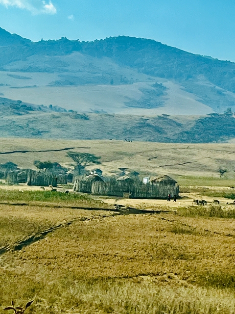 Traditional huts on a vast plain.