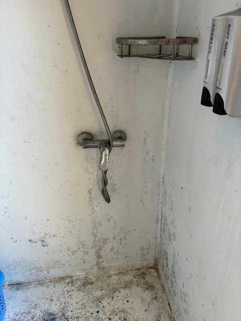Bathroom showerhead and faucet on a white wall.