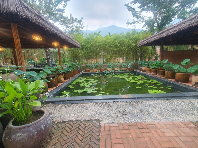 A garden with a rectangular pond and potted plants.