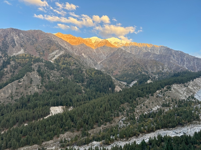 Mountains at sunset with trees and a glowing peak.