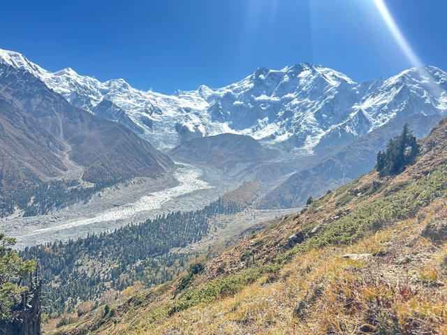 Snowy peaks with a glacier viewed from a hiking trail.