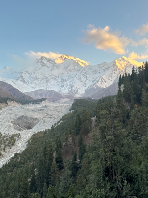 Blurry view of mountains with forests and glaciers.