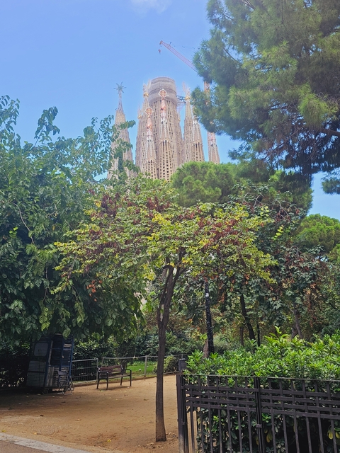 Lush green trees with a famous cathedral peeking through.