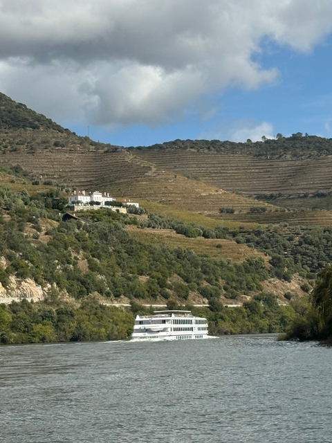 Distant view of a building embedded in terraced hills.