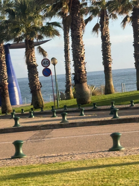 Ocean view with palm trees and road signs.