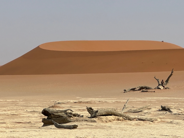 A large sand dune with dry branches in the foreground.