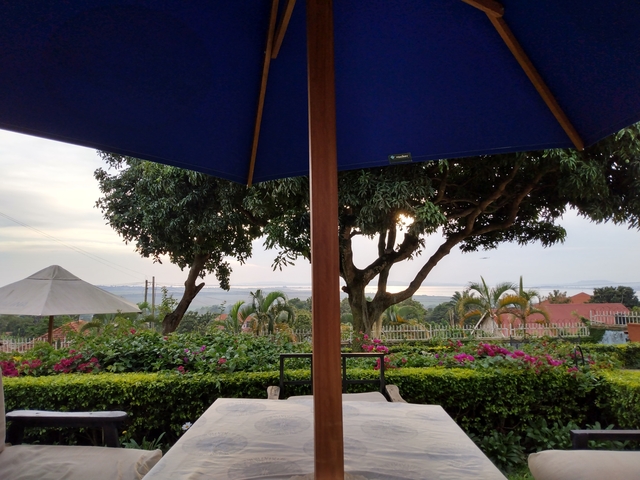 Outdoor dining area with lush garden view.
