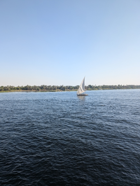 Sailboat on a river with palm trees in background.