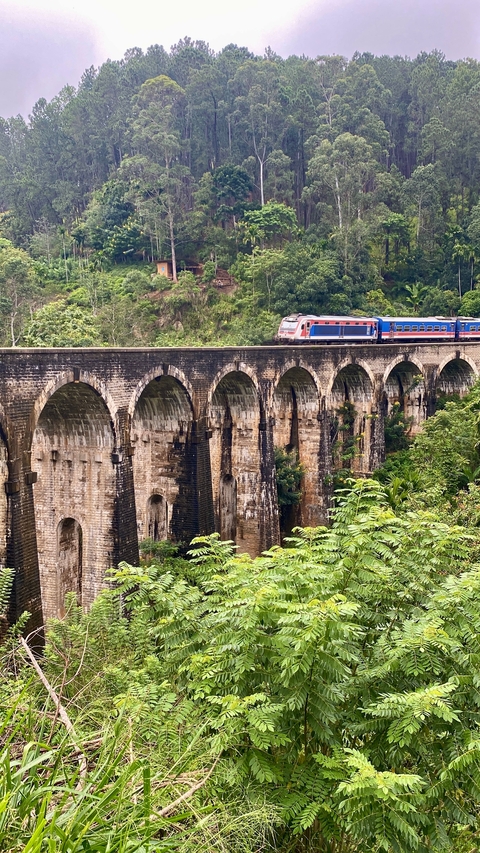 Train crossing the Nine Arches Bridge in a lush area.
