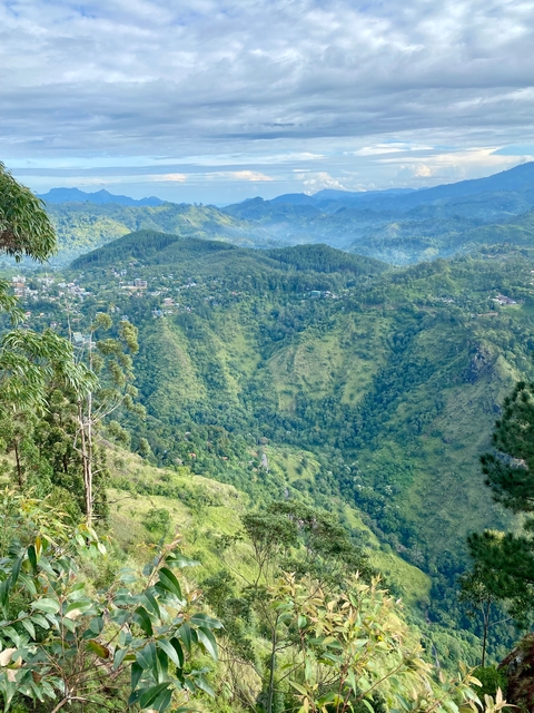 Aerial view of densely forested hills with a town.