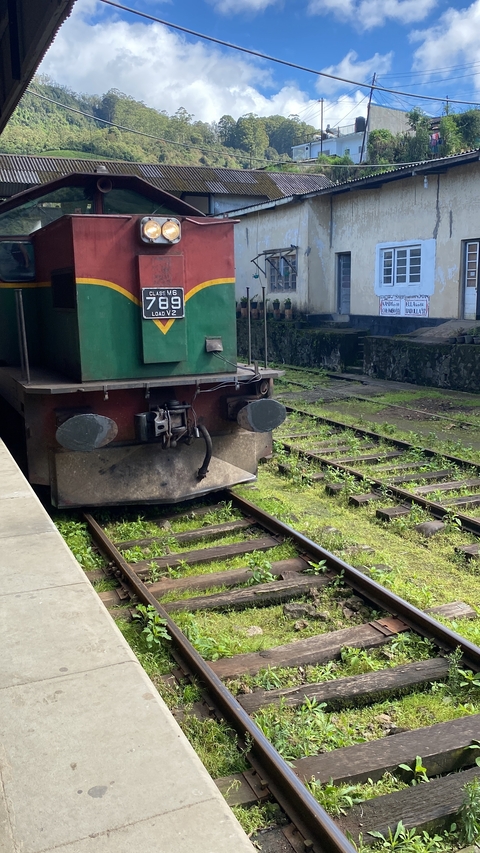 Front of a train at a rural station.