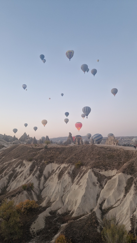 Hot air balloons over rocky landscape