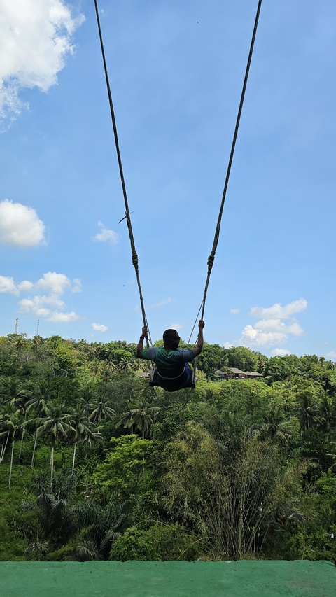 Person on a swing high above the forest.