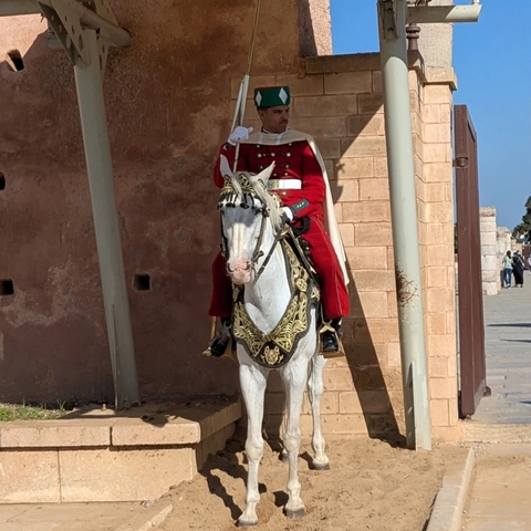 Guard in traditional attire on a horse.