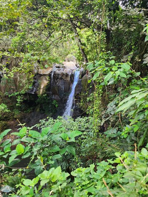 Waterfall in a lush, green landscape.