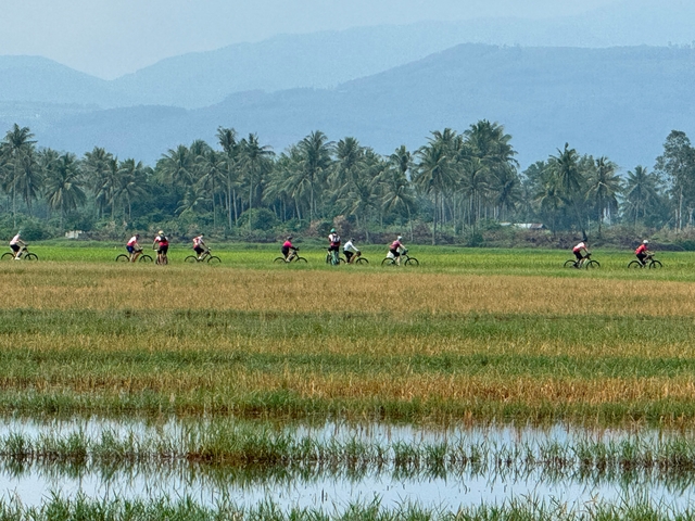 People cycling through a field with palm trees in the background