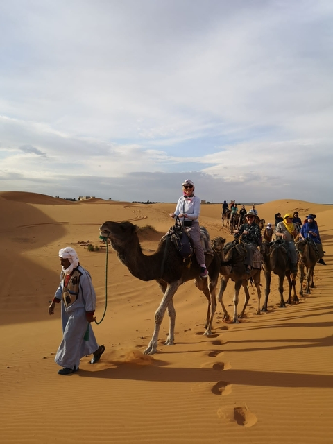 Group camel ride in the desert during day time.
