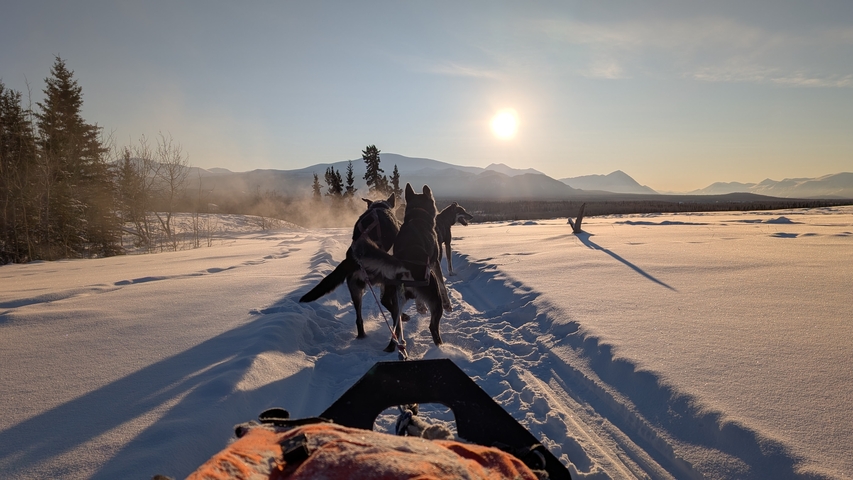 Dogsled team running across a pristine snowfield toward the low winter sun with mountains in background.