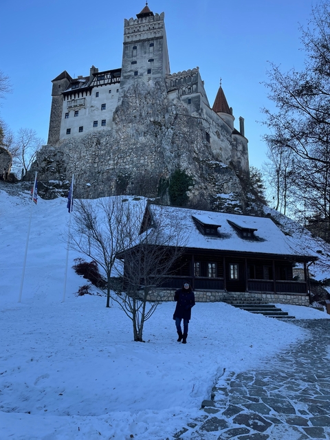 Person standing on a snowy backdrop with a castle.