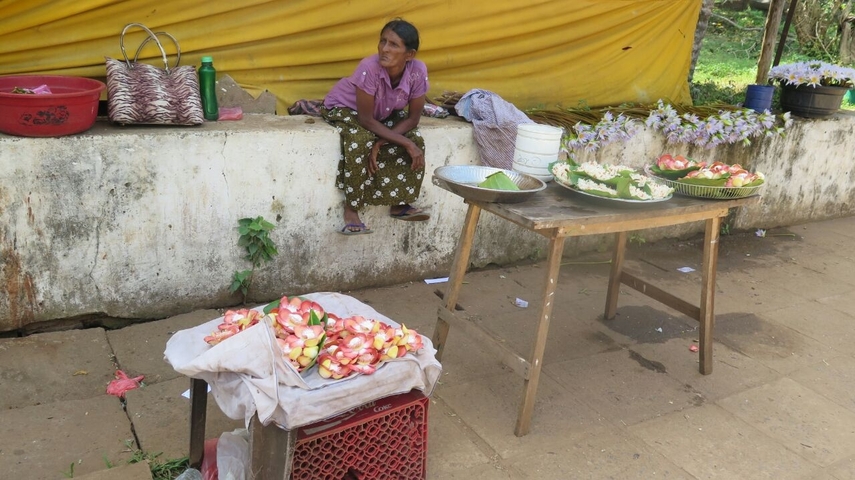 Market vendor sitting by a makeshift stall with fruits.
