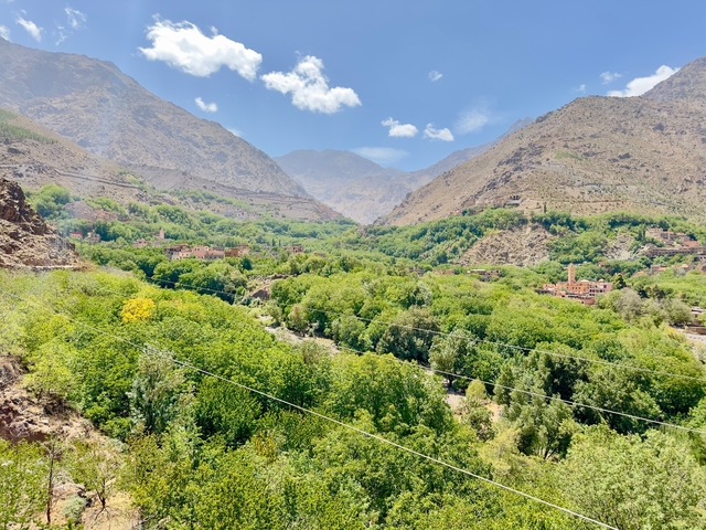 Lush green valley with mountains in the background.
