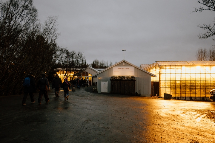 Group of people walking toward a warmly lit greenhouses.