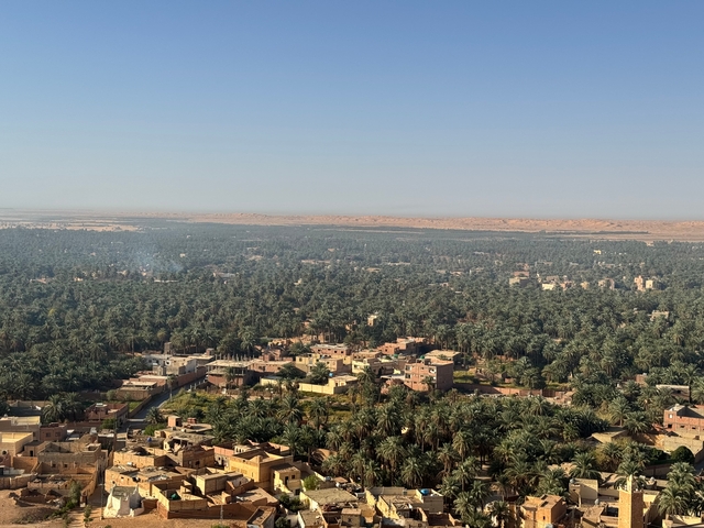 Panoramic view of a palm oasis in the desert.