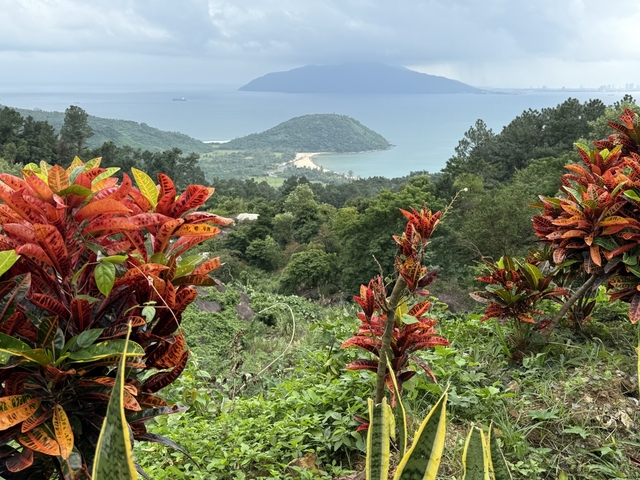 Scenic view of a hilly landscape with colorful plants and ocean in the distance.