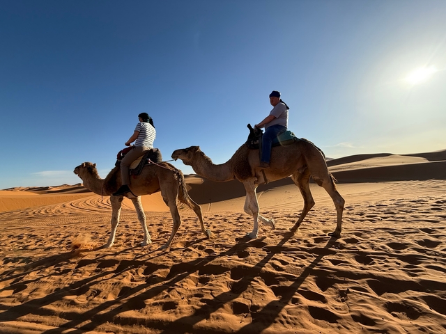 Two people riding camels in a desert during the day.
