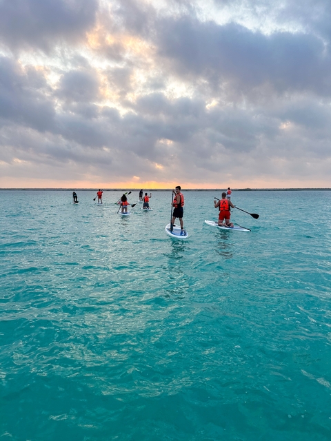 Group paddleboarding over a clear blue ocean at sunrise.