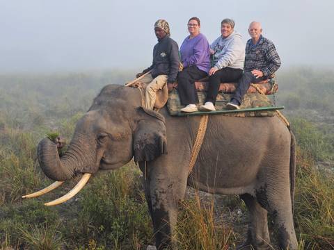 Group of people riding an elephant through the grasslands.