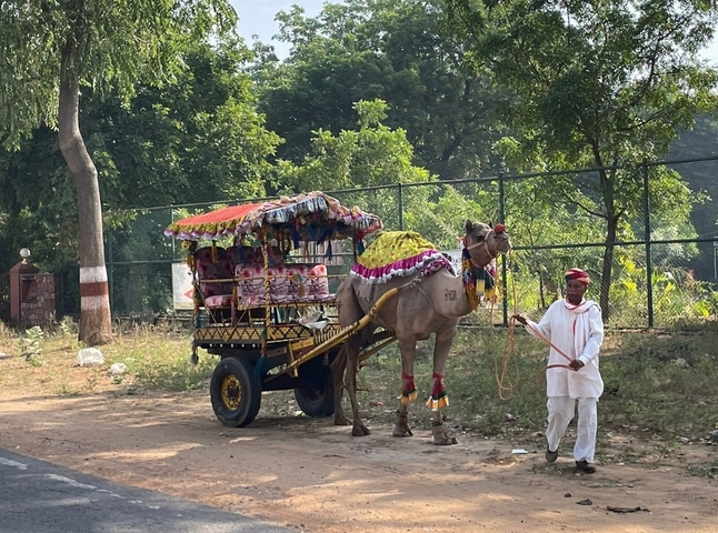 Photo d'avis client sur Rajasthan avec visite du Taj Mahal
