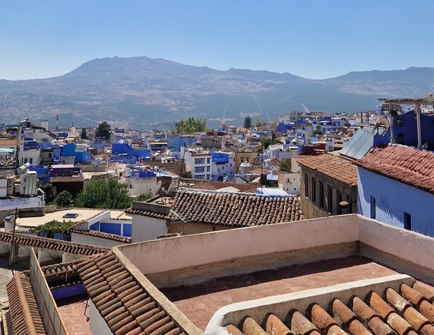 Panoramic view of a city with blue and white buildings.