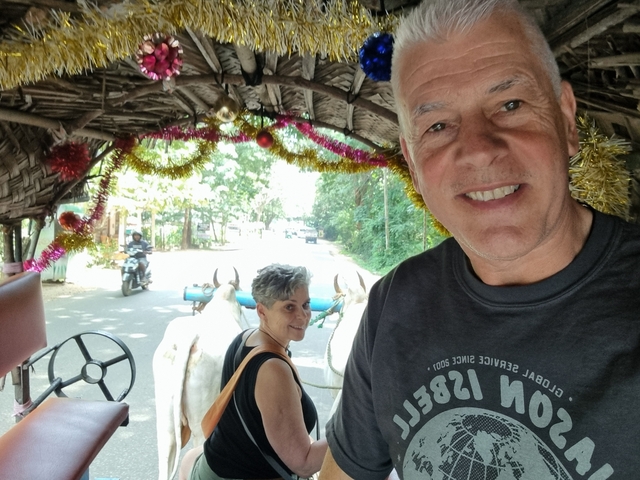Couple enjoying a ride in a decorated cart pulled by oxen.