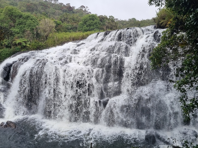 Waterfall cascading down rocks surrounded by greenery.