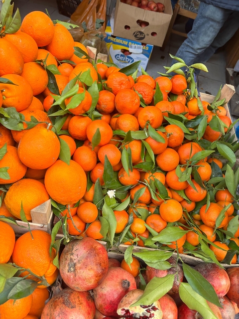 Close-up of freshly picked oranges with leaves.