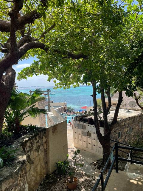 Seaside view through trees with turquoise water.