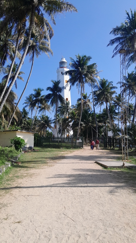 Two people walking towards a lighthouse among palm trees.
