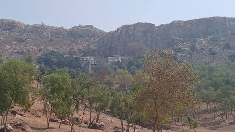 View of rocky hillside with scattered trees.